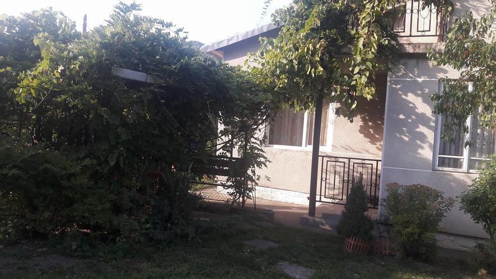 كوسيف Sadyba Karpatskyi Vedmid المظهر الخارجي الصورة